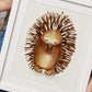Pugsy Echidna