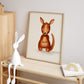 Hop Kangaroo