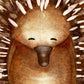 Pugsy Echidna