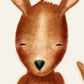 Hop Kangaroo