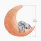 Koala and Joey Nightime Wall Decal